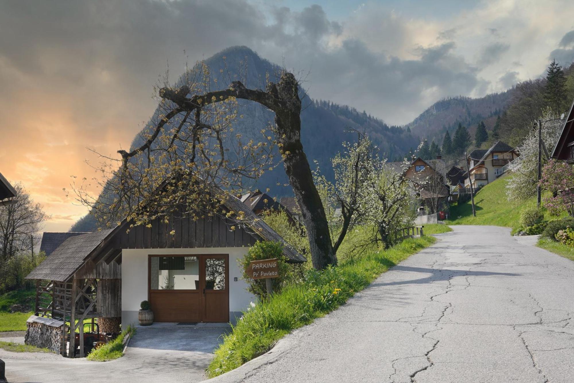 Apartments Pr' Pavleto Bohinj Luaran gambar
